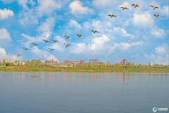 开辟区提档升级、做大体量
